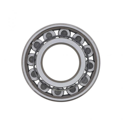 Bearing Genuine Pai 8954