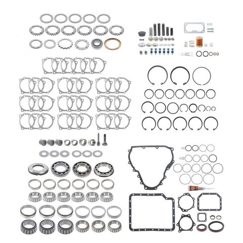 Bearing And Seal Kit Genuine Pai 6565