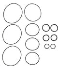 O-Ring Kit Genuine Pai 8955-200