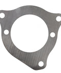 Shim Genuine Pai 5995-005