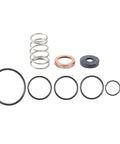 Inversion Valve Repair Kit Genuine Pai 1189