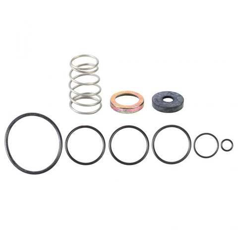 Inversion Valve Repair Kit Genuine Pai 1189