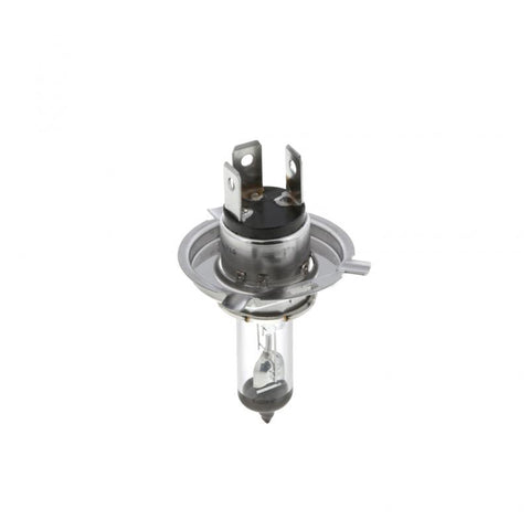Halogen Bulb Genuine Pai 1004