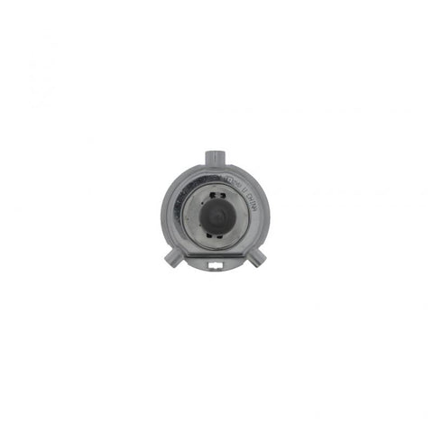 Halogen Bulb Genuine Pai 1004