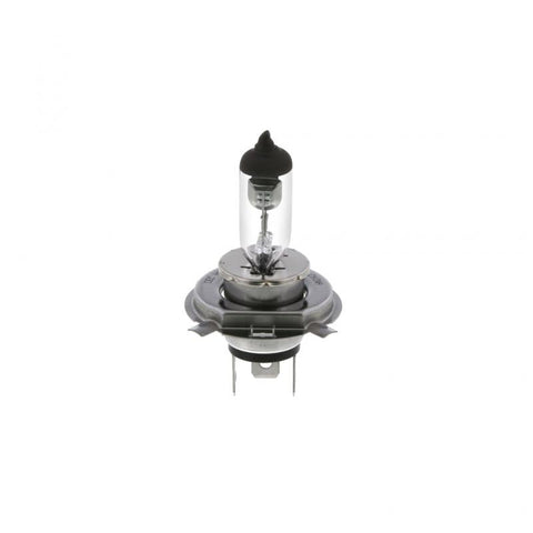 Halogen Bulb Genuine Pai 1004