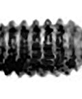Dayton Parts 01-302 Brake Roller - Set Screw