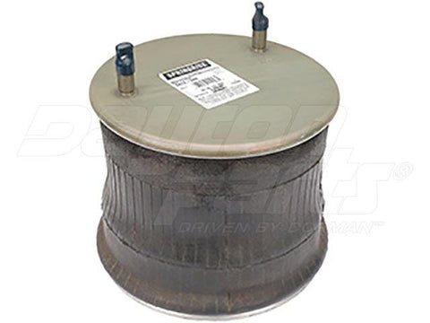 Dayton Parts 1R14-244 Suspension - Air Spring