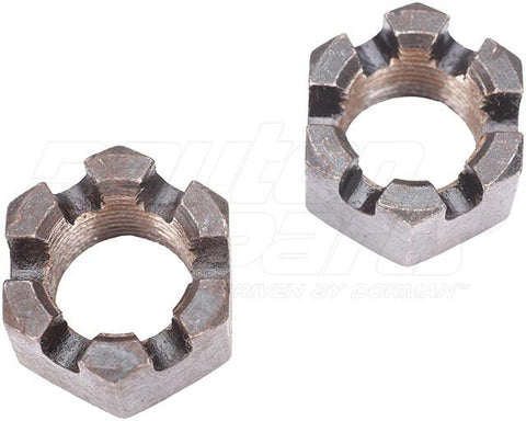 Dayton Parts 346-M201571 Castle Nut - M20-1.5 In.