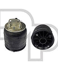 Dayton Parts 452-9501P Air Spring - Rolling Lobe
