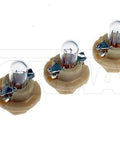 Dayton Parts 639-006 Replenishment Bulb Pack