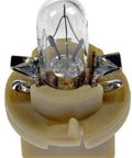 Dayton Parts 639-012 Replenishment Bulb Pack
