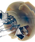 Dayton Parts 639-115 Interior Replenishment Bulb