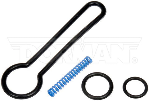Dayton Parts 904-490 Fuel Pressure Regulator Upgrade Kit