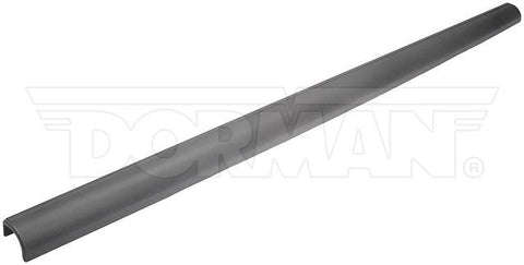 Dayton Parts 925-612 Tailgate Molding Assembly