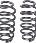 Dayton Parts 350-913HD Cargomaxx Coil Springs