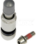 Dayton Parts 974-000 Tpms Aluminum Clamp-In Valve Stem For Dorman Direct-Fit Sensor
